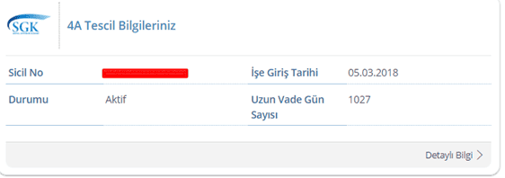 e devlet calisan2