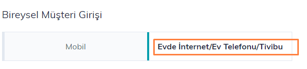 ev internet1