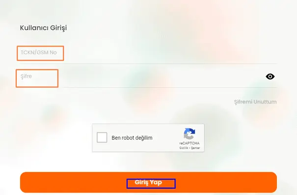 ev internet9