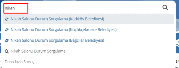 e devlet nikah