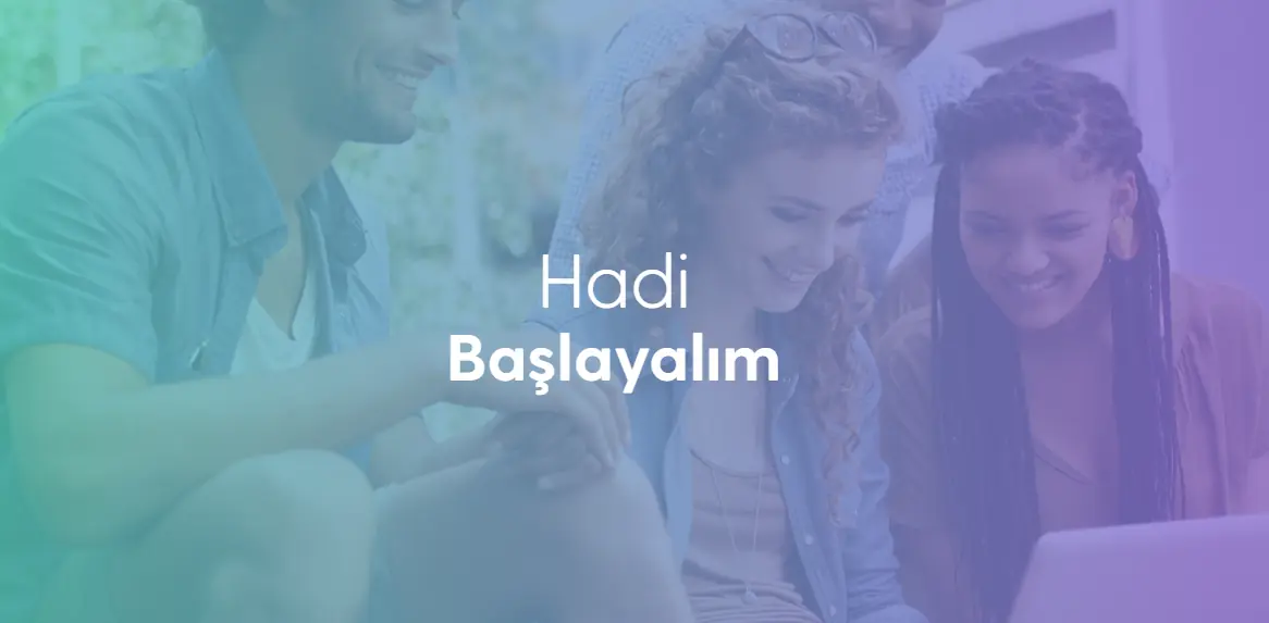 toluna anket